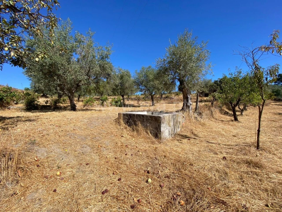 Quinta T0 para Venda em Castelo Novo Foto 5