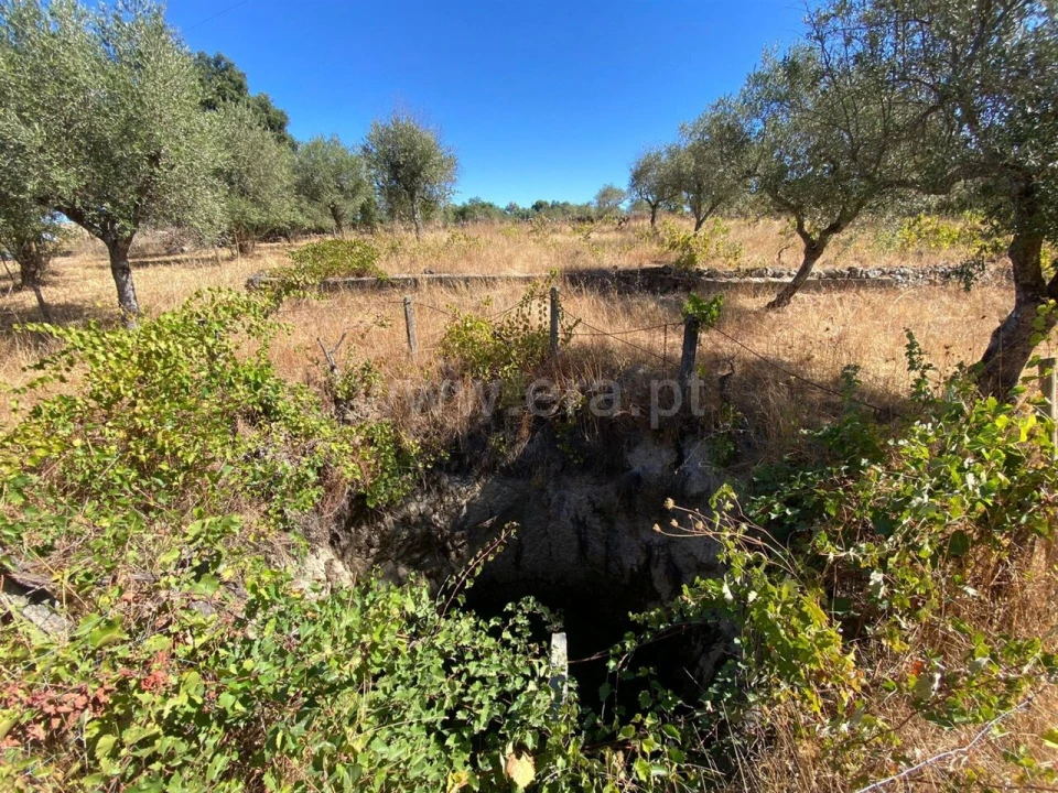 Quinta T0 para Venda em Castelo Novo Foto 4