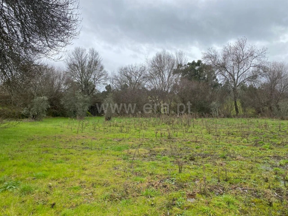 Terreno para Venda em Orca Foto 4