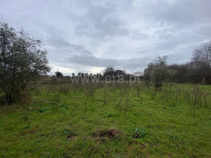 Terreno para Venda em Orca Foto 1