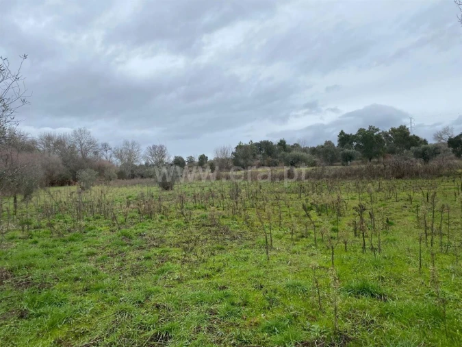 Terreno para Venda em Orca Foto 6