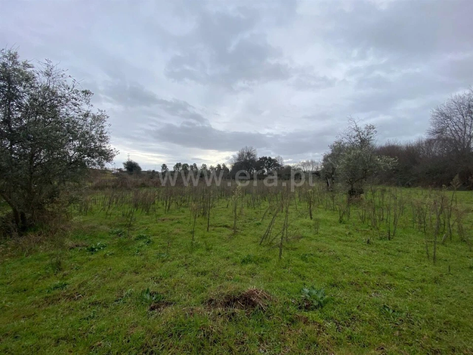 Terreno para Venda em Orca Foto 1