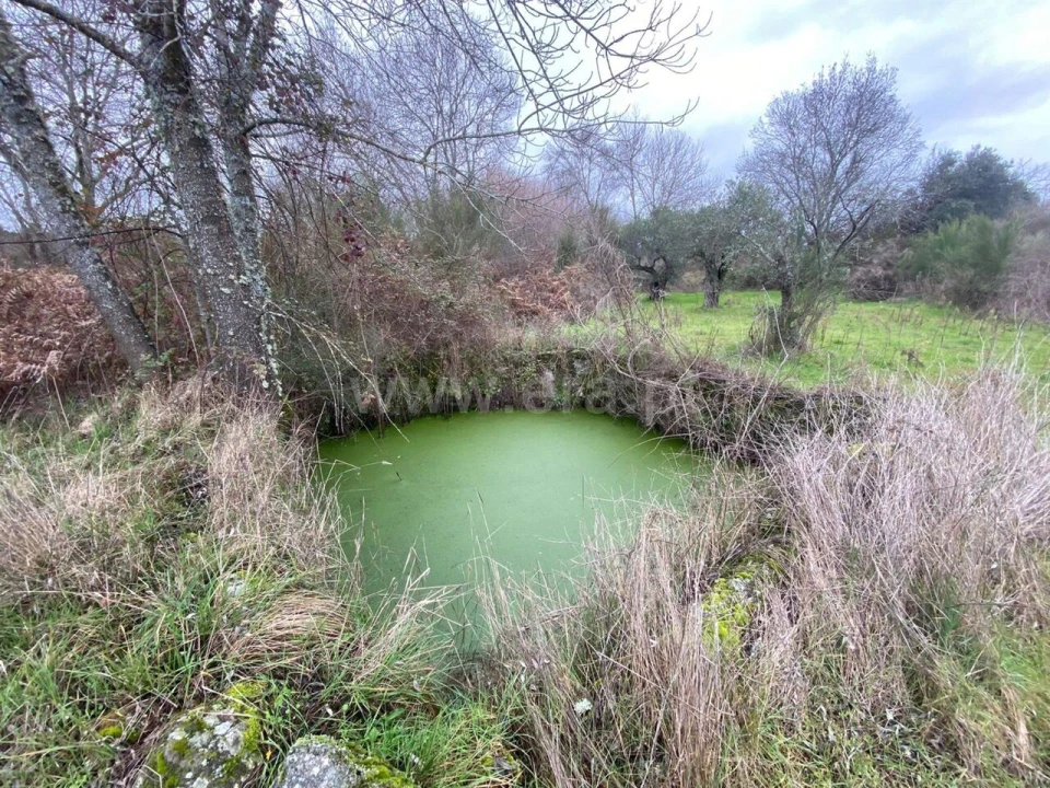 Terreno para Venda em Orca Foto 2