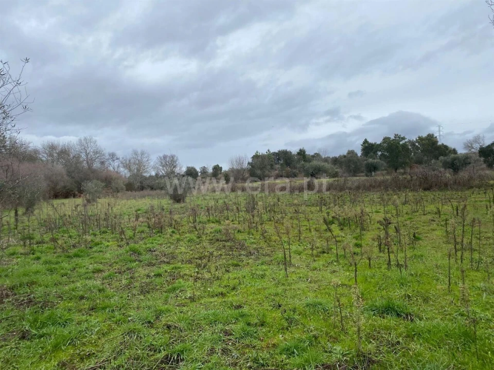 Terreno para Venda em Orca Foto 6