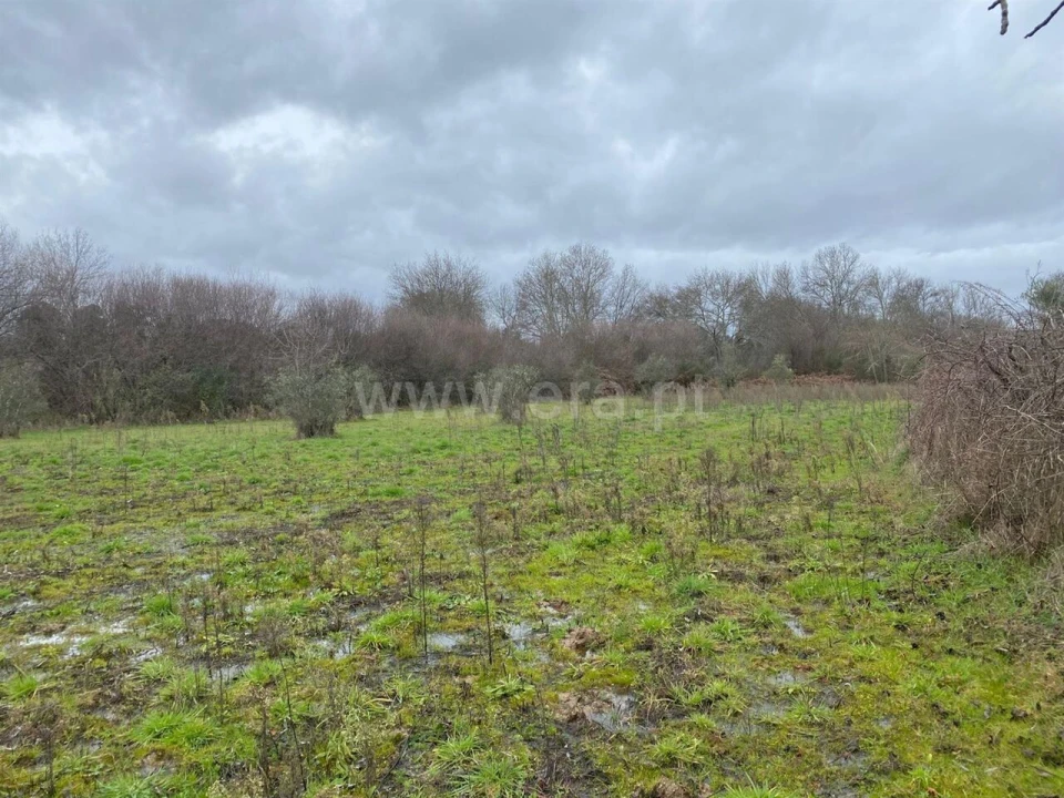 Terreno para Venda em Orca Foto 5