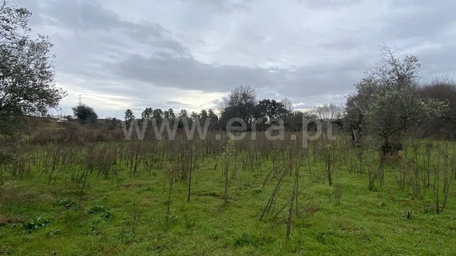 Terreno para Venda em Orca