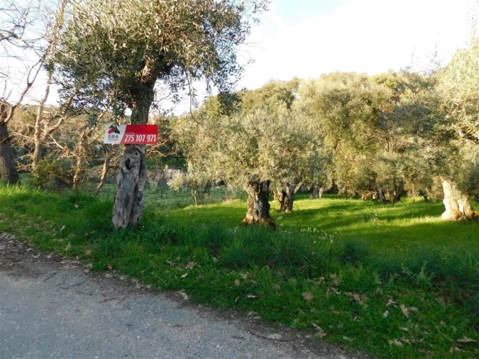 Terreno para Venda em Telhado