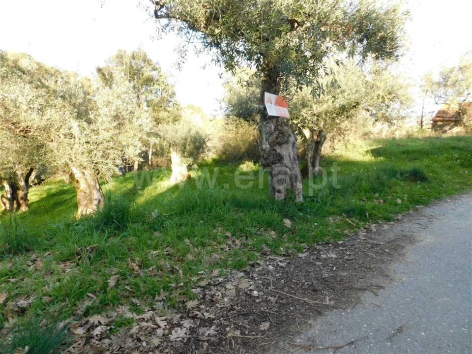 Terreno para Venda em Telhado Foto 4
