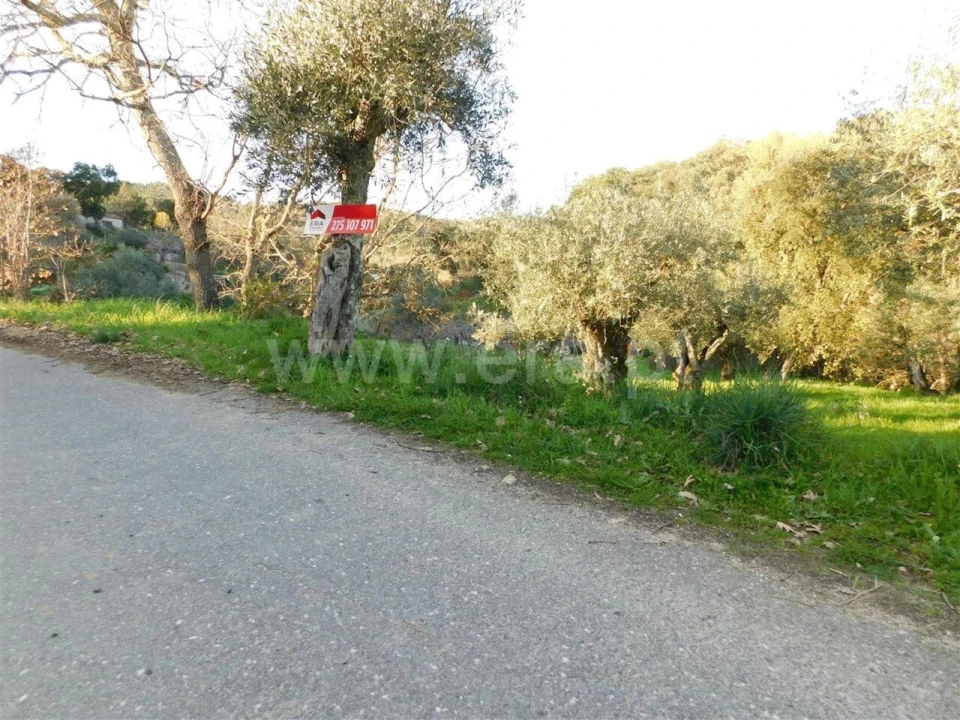 Terreno para Venda em Telhado Foto 2