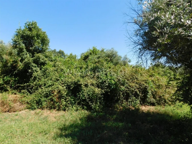 Terreno para Venda em Capinha Foto 2