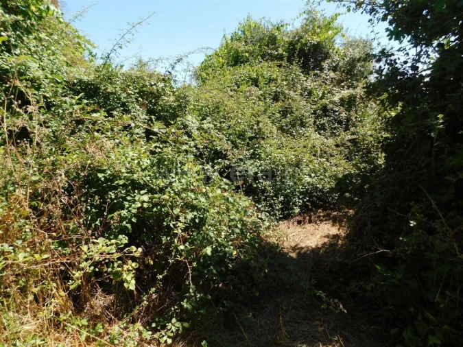 Terreno para Venda em Capinha Foto 3