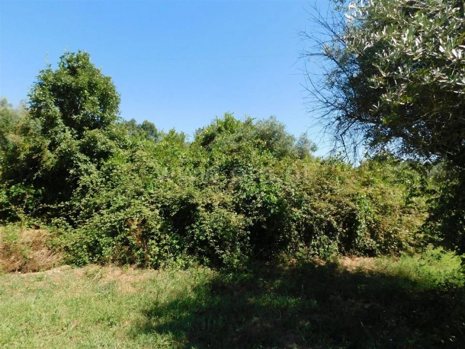 Terreno para Venda em Capinha Foto 2