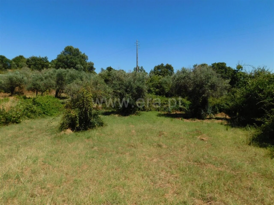 Terreno para Venda em Capinha Foto 1