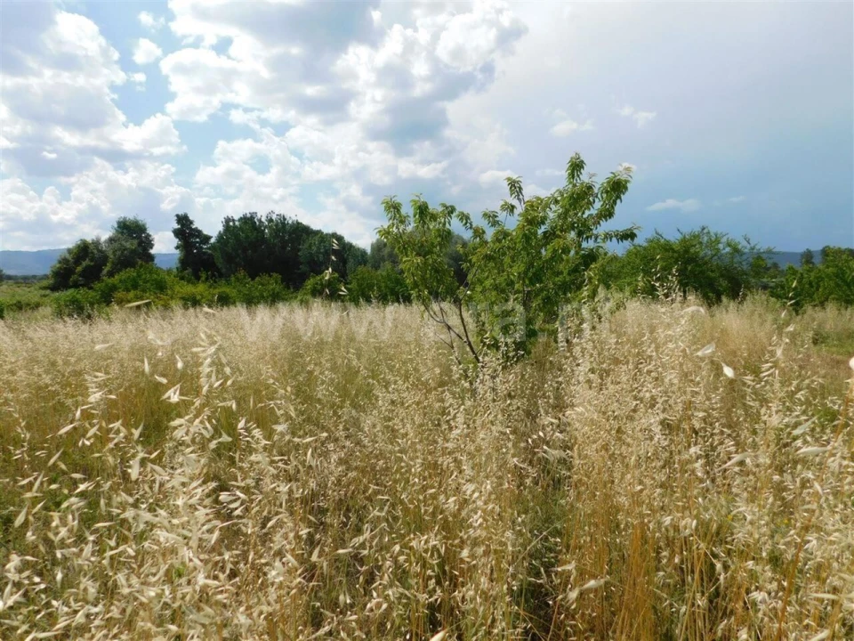 Terreno para Venda em Alpedrinha Foto 2