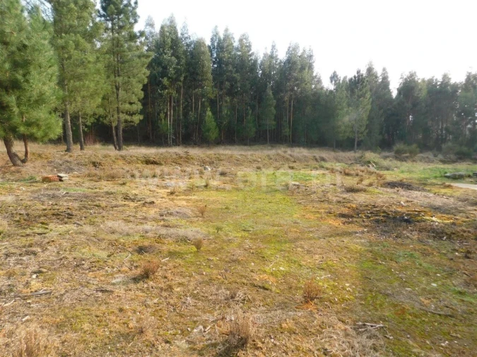 Quinta T1 para Venda em Enxames Foto 5