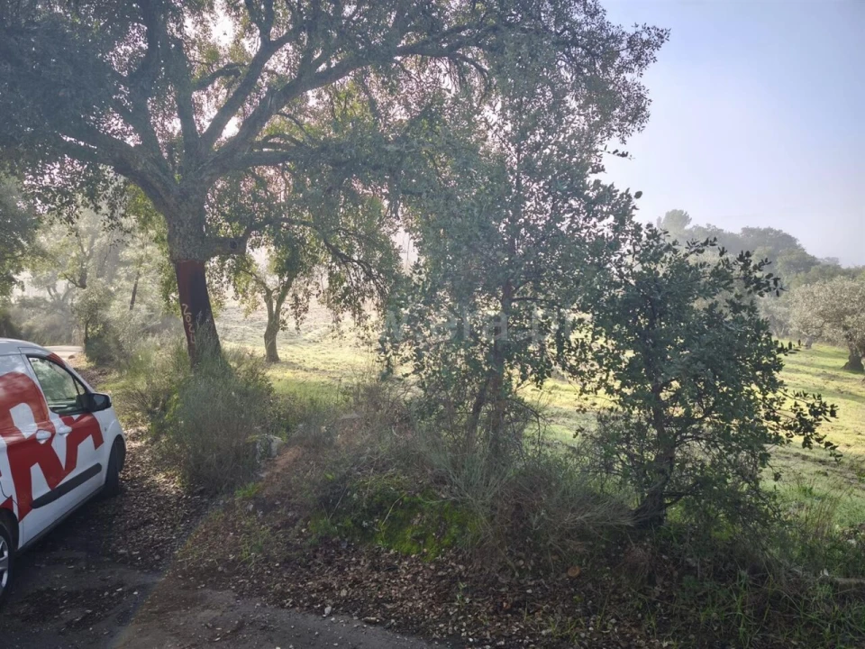 Terreno para Venda em Telhado Foto 4