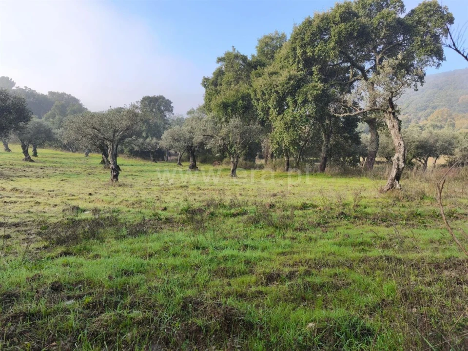 Terreno para Venda em Telhado Foto 7