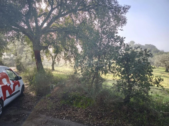 Terreno para Venda em Telhado Foto 4