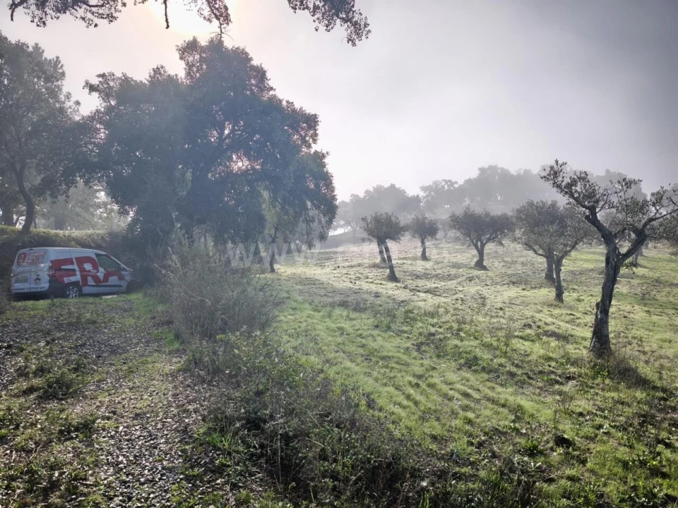 Terreno para Venda em Telhado Foto 3