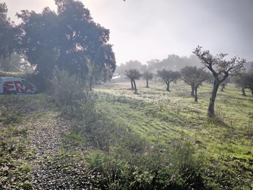 Terreno para Venda em Telhado Foto 8
