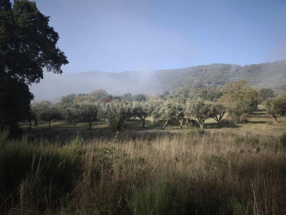 Terreno para Venda em Telhado Foto 2