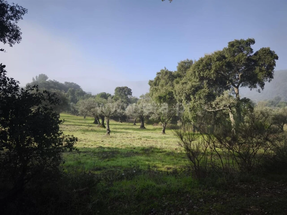 Terreno para Venda em Telhado Foto 6