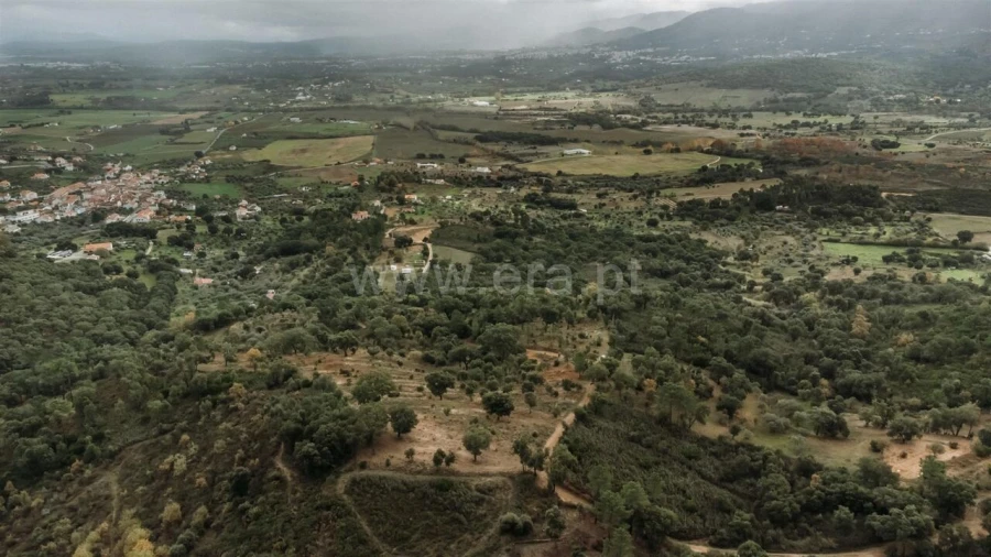 Quinta T0 para Venda em Telhado Foto 4