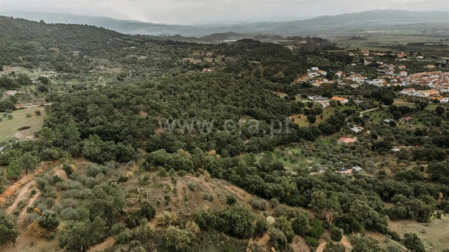 Quinta T0 para Venda em Telhado Foto 10