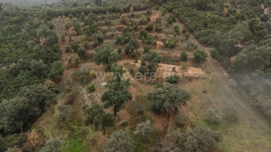 Quinta T0 para Venda em Telhado Foto 13