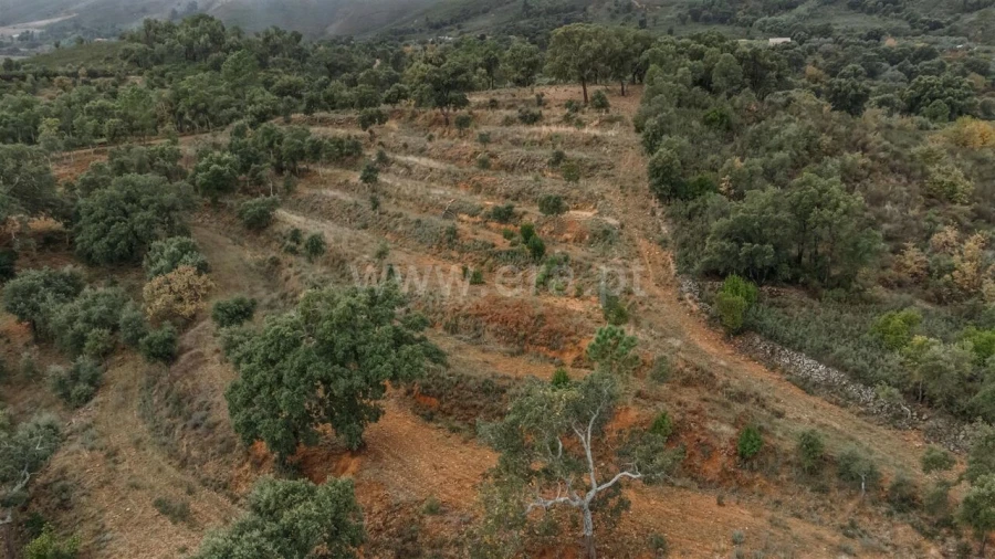 Quinta T0 para Venda em Telhado Foto 12