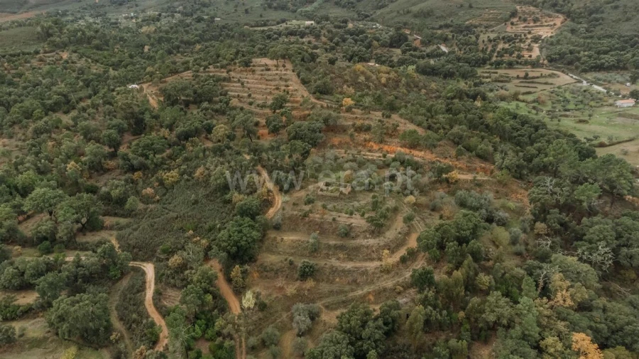 Quinta T0 para Venda em Telhado Foto 9