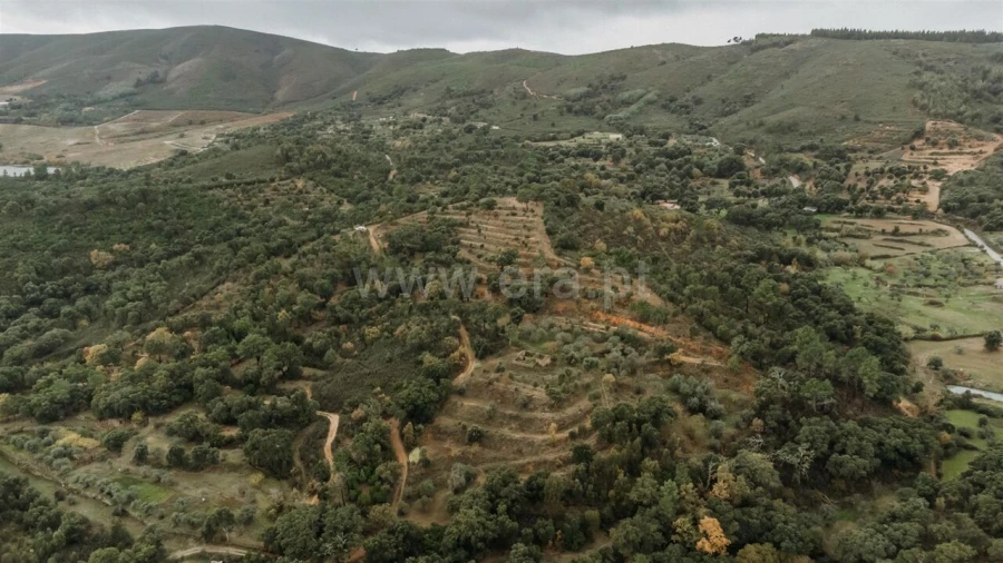 Quinta T0 para Venda em Telhado Foto 8
