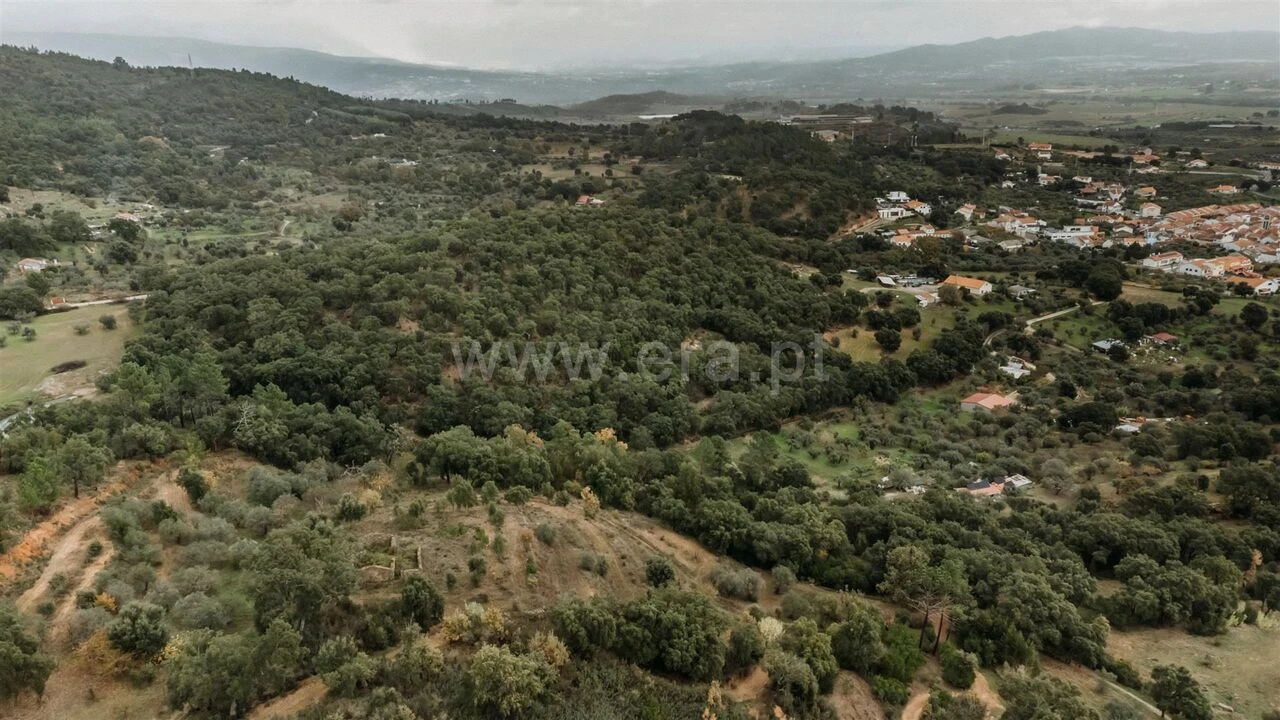 Quinta T0 para Venda em Telhado Foto 10