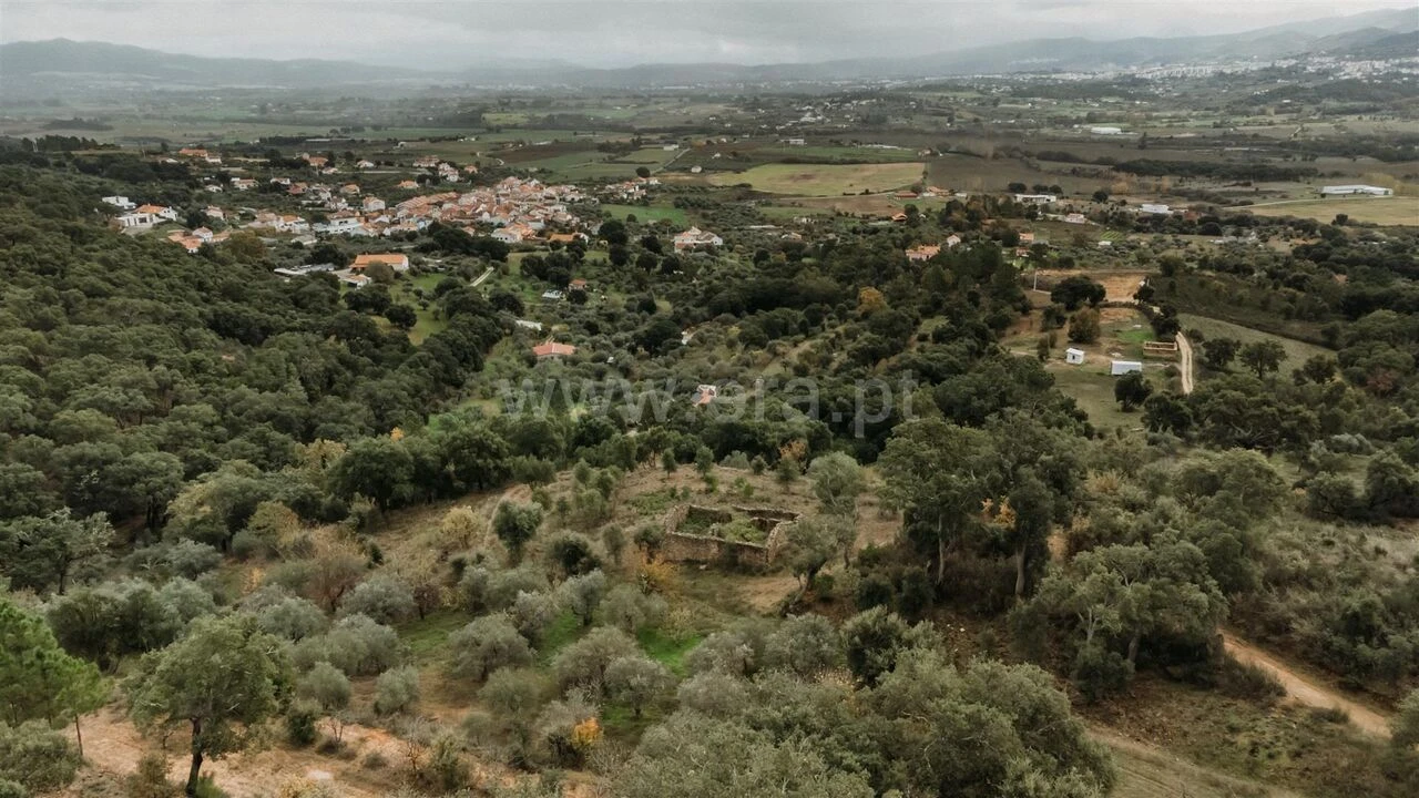Quinta T0 para Venda em Telhado Foto 11