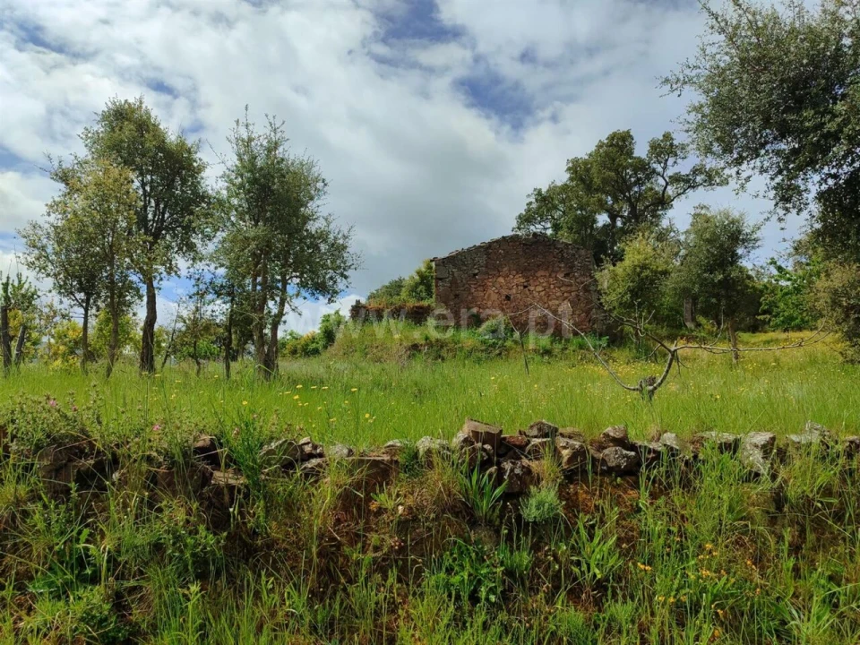 Quinta T0 para Venda em Telhado Foto 2