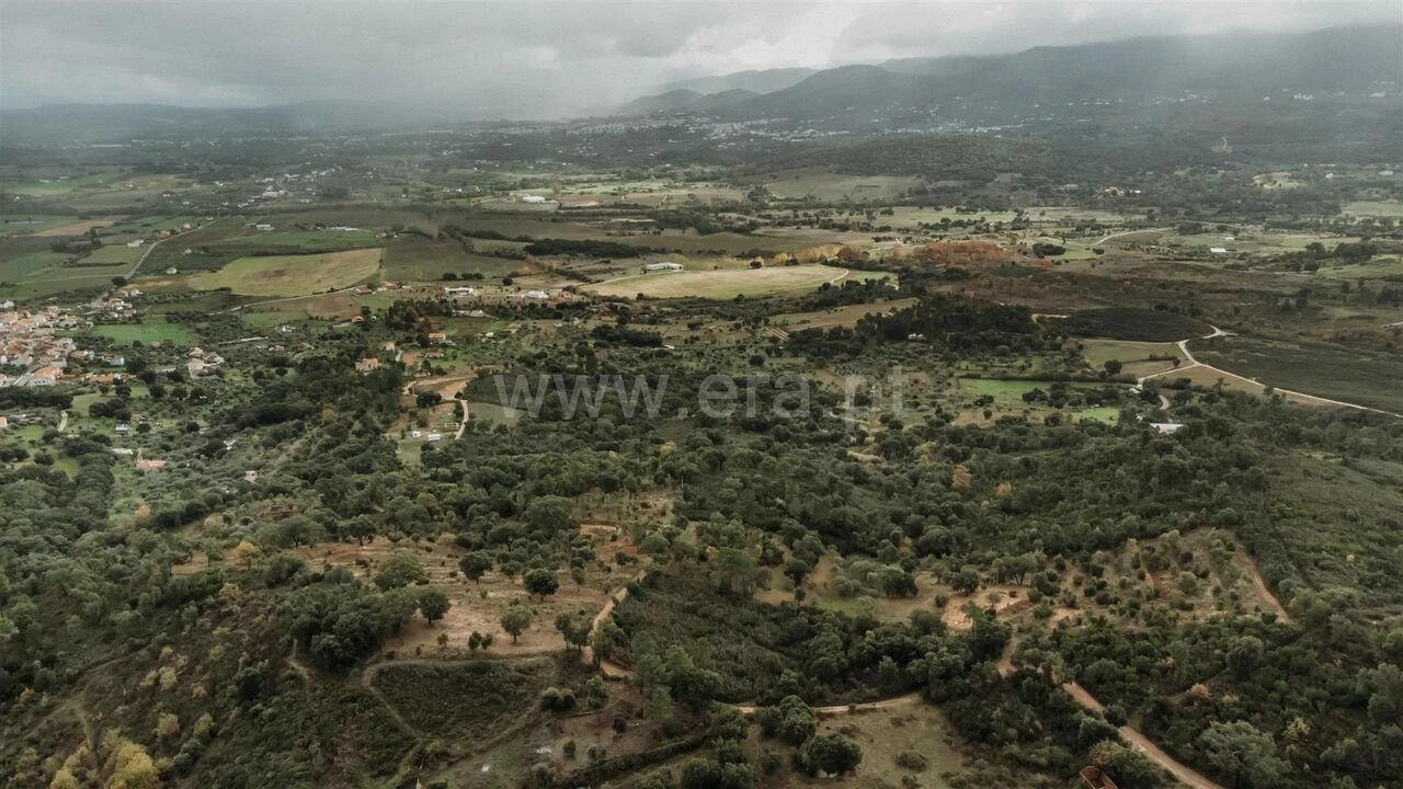 Quinta T0 para Venda em Telhado Foto 6