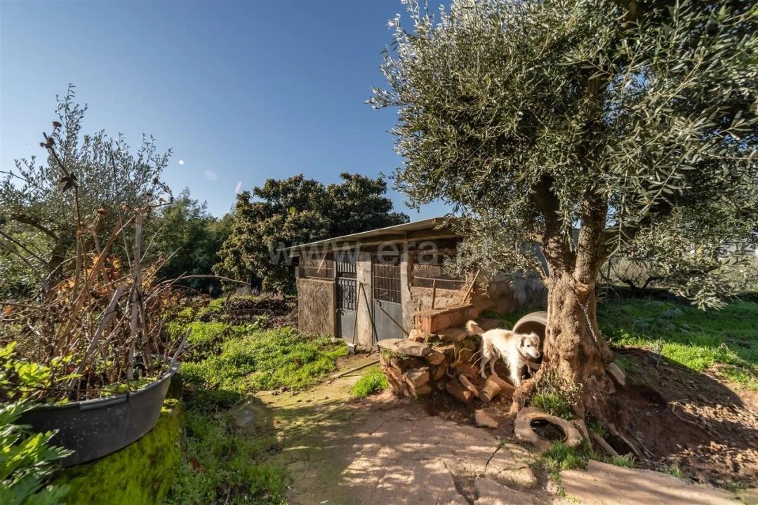 Quinta T0 para Venda em Fatela Foto 17