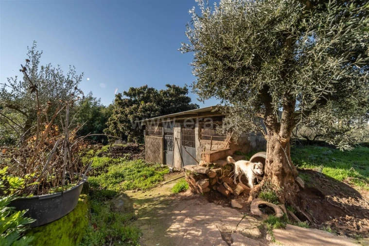 Quinta T0 para Venda em Fatela Foto 17