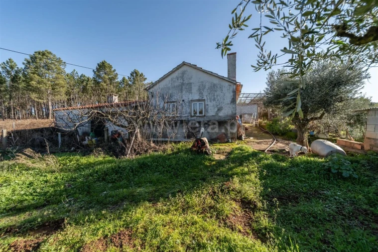 Quinta T0 para Venda em Fatela Foto 14