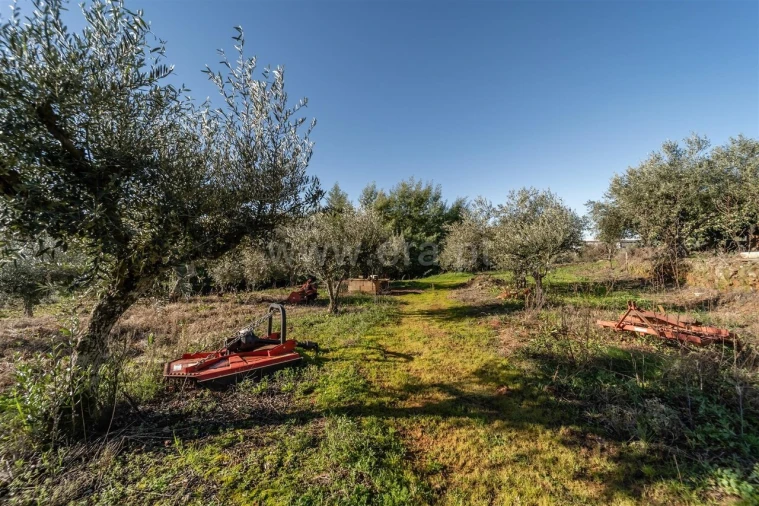 Quinta T0 para Venda em Fatela Foto 19