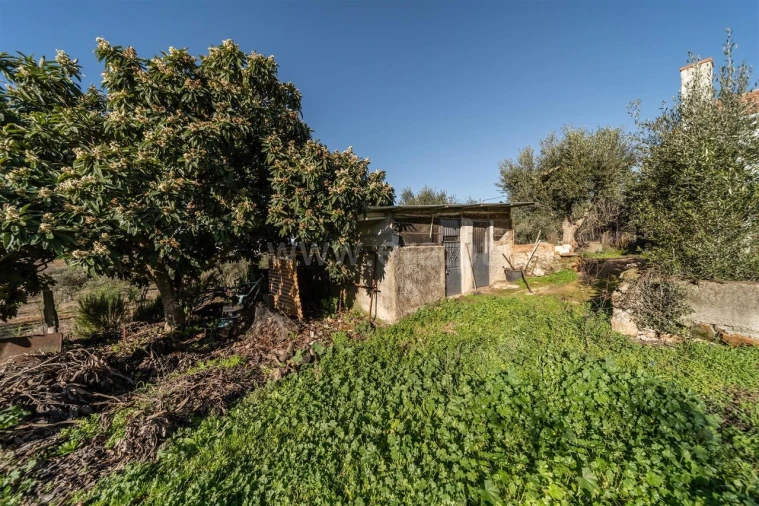 Quinta T0 para Venda em Fatela Foto 18