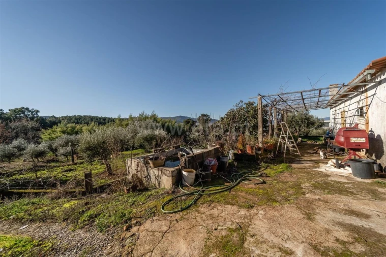 Quinta T0 para Venda em Fatela Foto 11