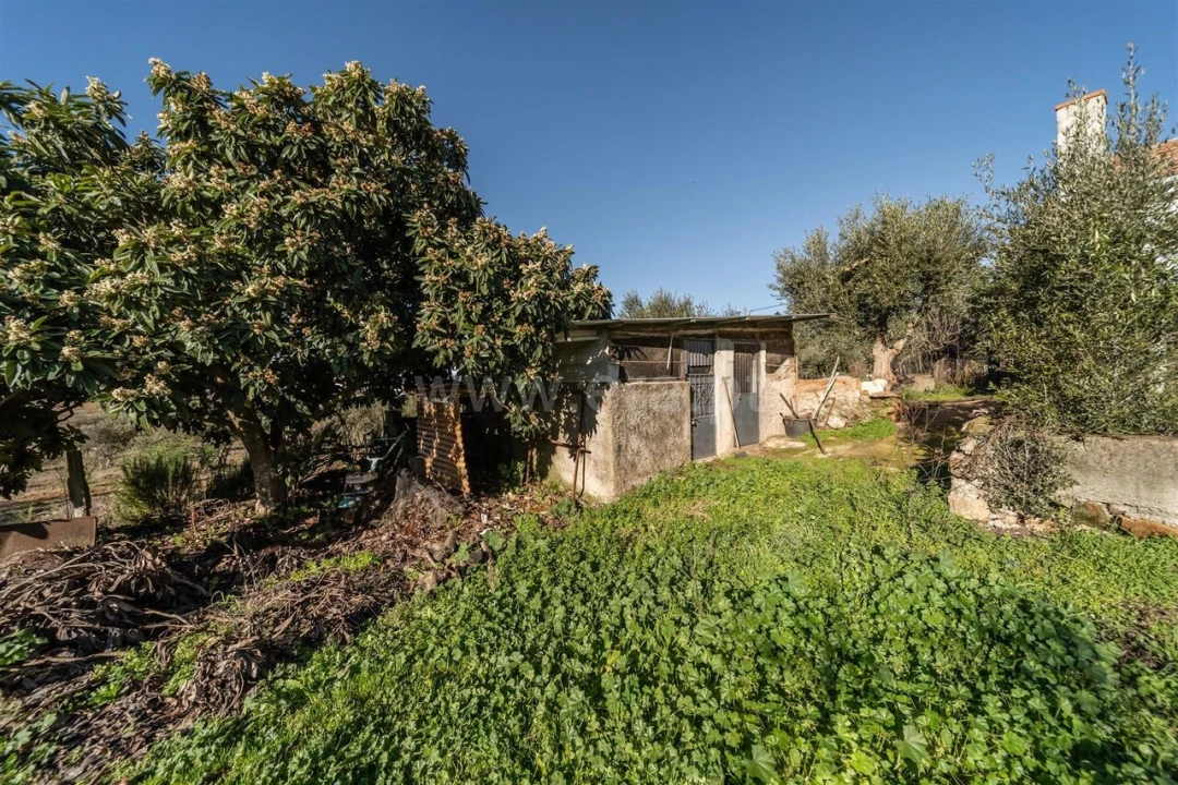 Quinta T0 para Venda em Fatela Foto 18