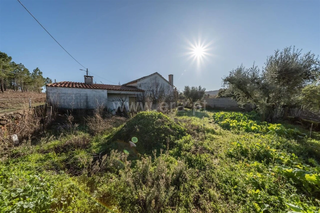 Quinta T0 para Venda em Fatela Foto 15