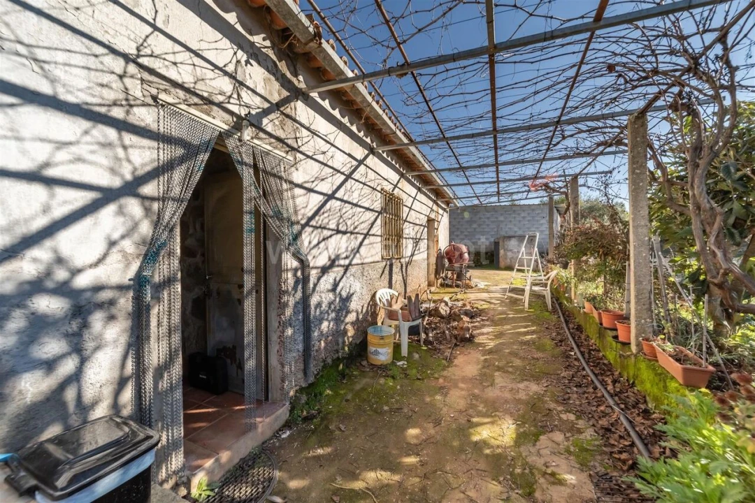 Quinta T0 para Venda em Fatela Foto 16