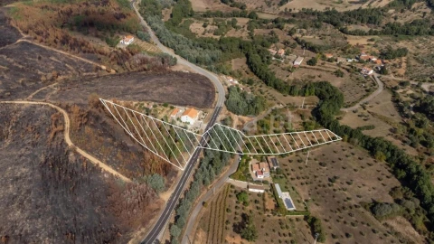 Terreno para Venda em Souto da Casa