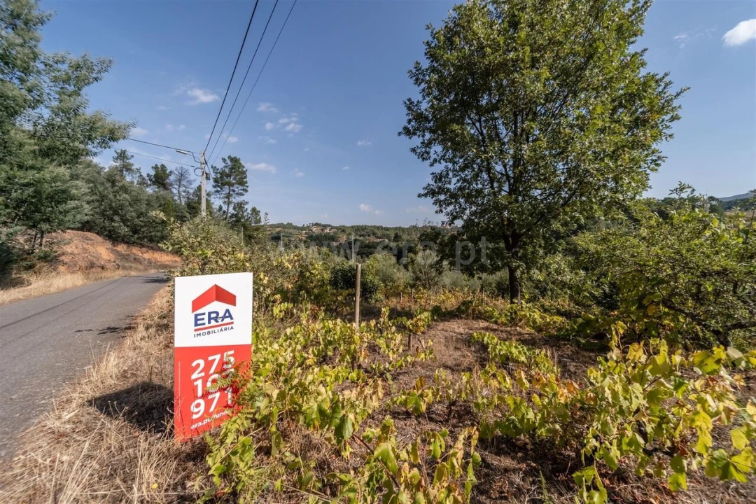 Terreno para Venda em Souto da Casa Foto 11