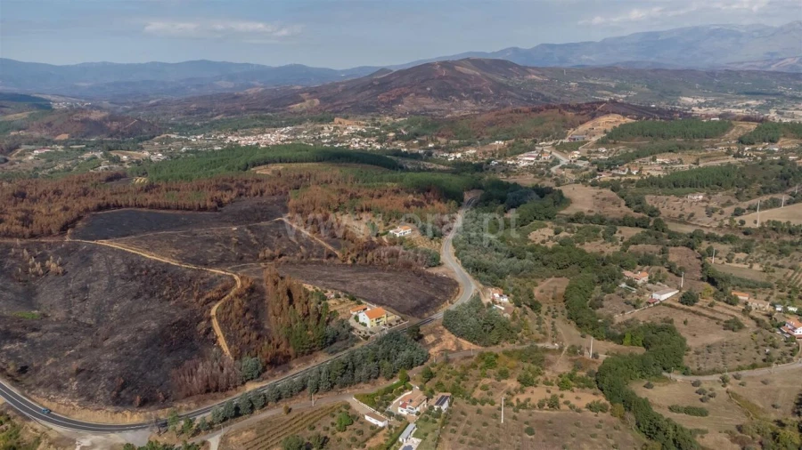 Terreno para Venda em Souto da Casa Foto 5