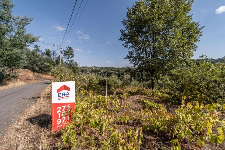 Terreno para Venda em Souto da Casa Foto 11