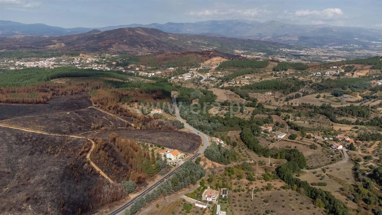 Terreno para Venda em Souto da Casa Foto 4